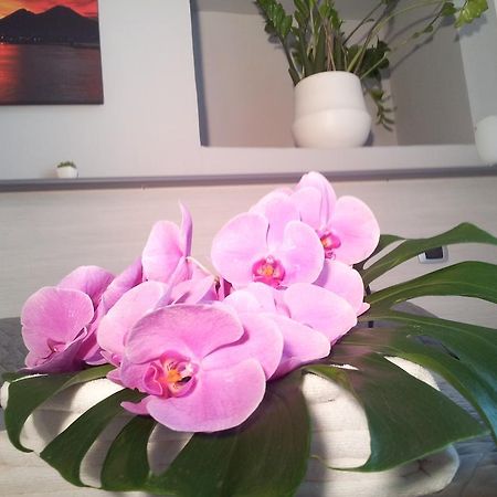 B&B Solimena Неаполь Экстерьер фото