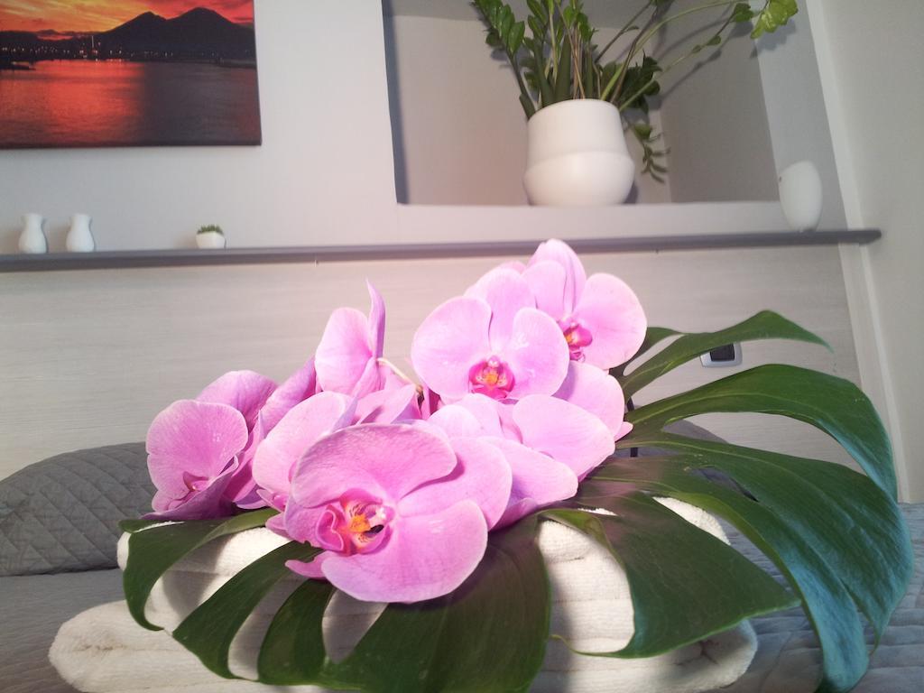 B&B Solimena Неаполь Экстерьер фото